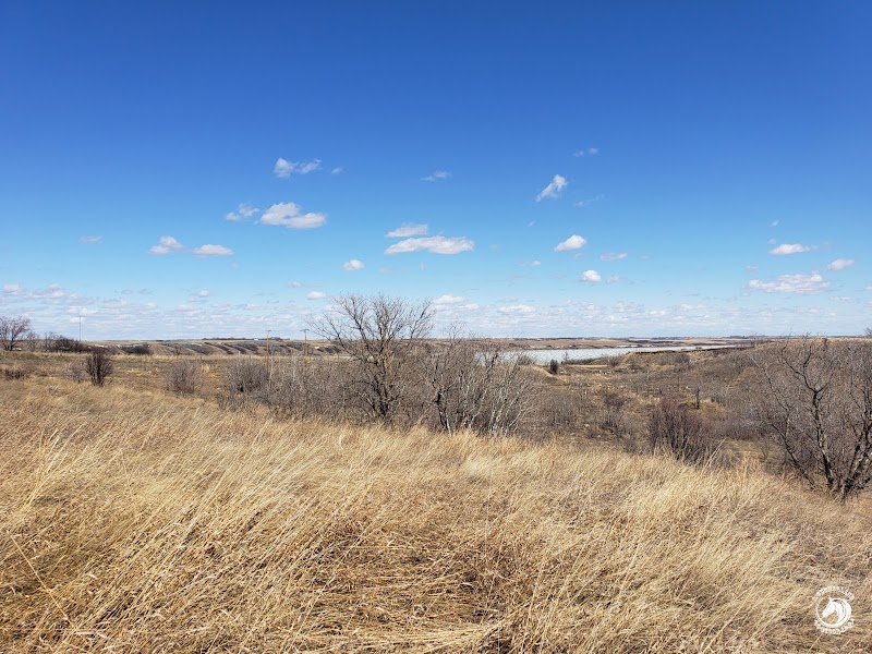 Manitou Beach Dog Park dog park in Manitou Beach, Saskatchewan