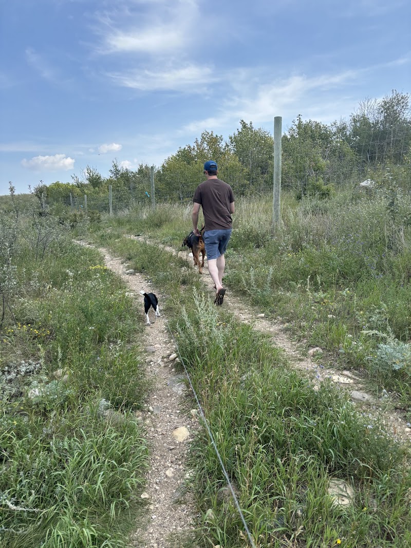 Manitou Beach Dog Park dog park in Manitou Beach, Saskatchewan