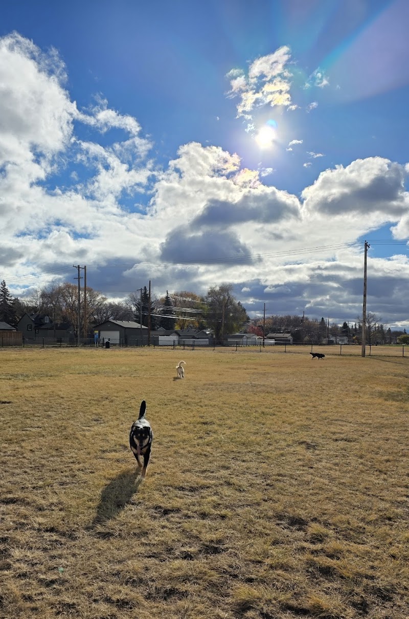 Pierre Radisson Dog Park dog park in Saskatoon, Saskatchewan