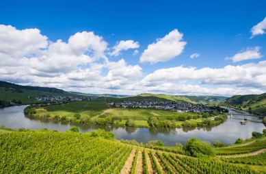 Hyde Park Small Dog Park dog park in Saskatoon, Saskatchewan