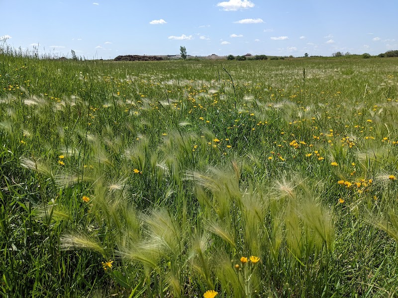 Martensville Offleash Dog Park dog park in Martensville, Saskatchewan