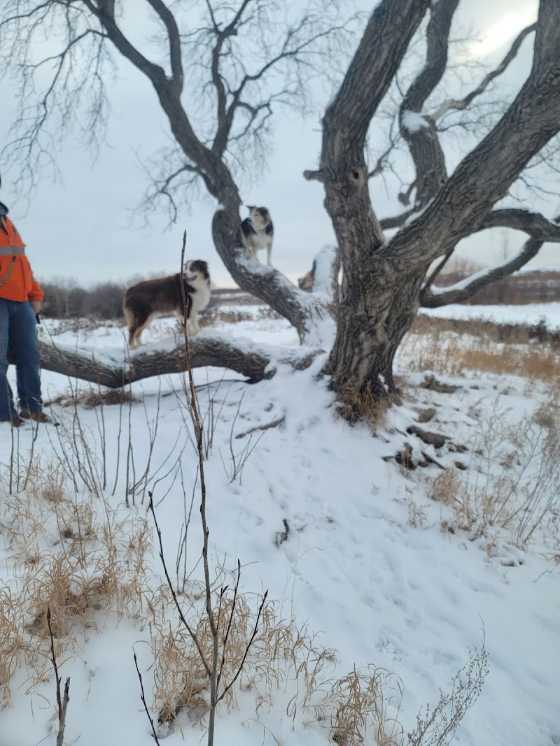 Martensville Offleash Dog Park dog park in Martensville, Saskatchewan