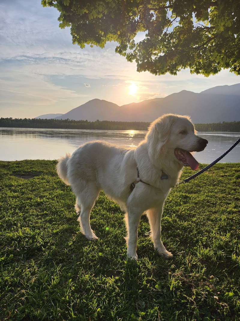 Island 22 Dog Park dog park in Chilliwack, British Columbia