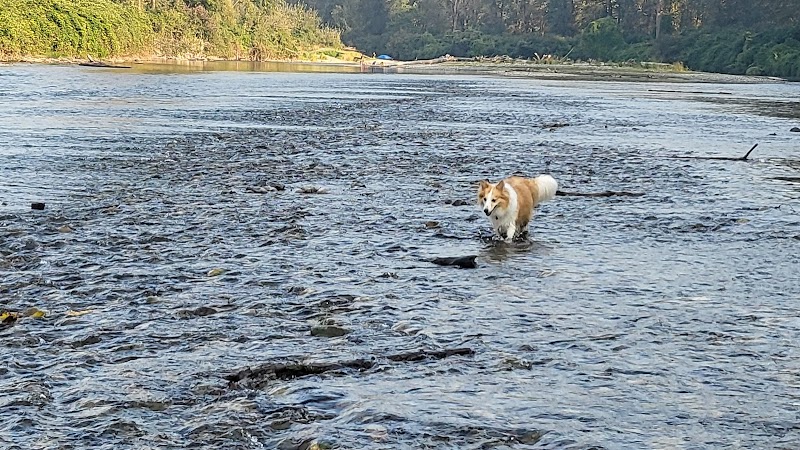 No.3 Rd Dog Off-Leash Park dog park in Chilliwack, British Columbia