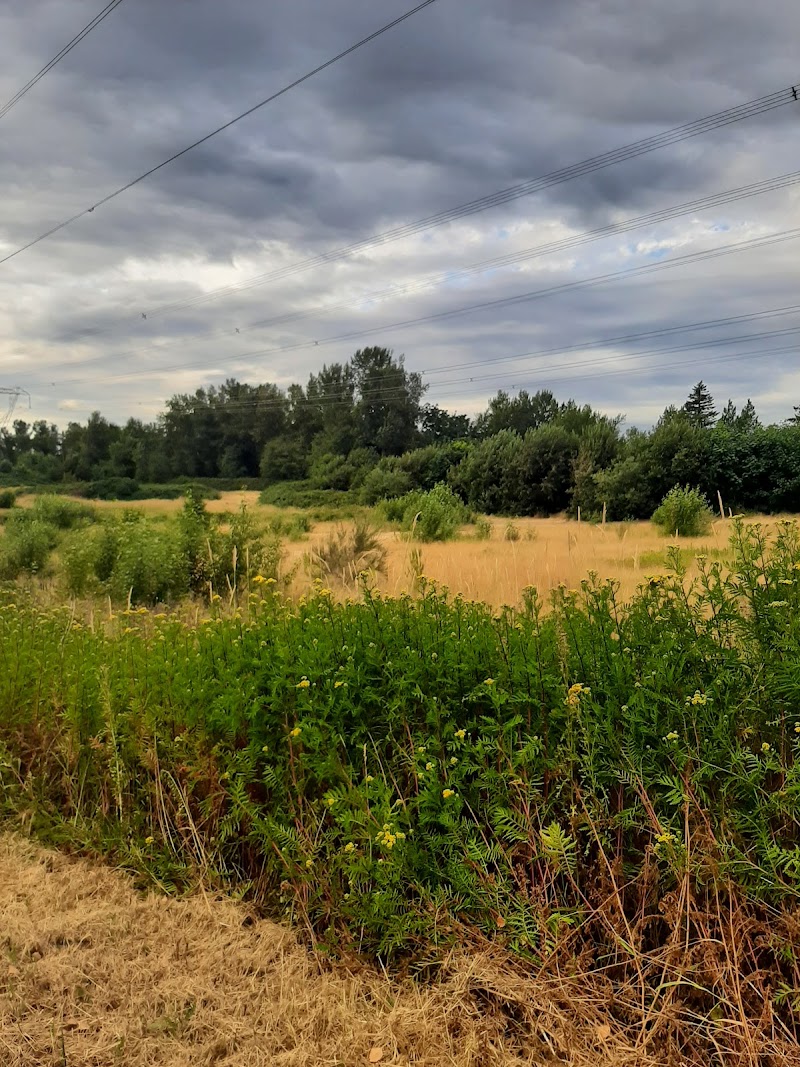 Clearbrook Park Off Leash Area dog park in Abbotsford, British Columbia
