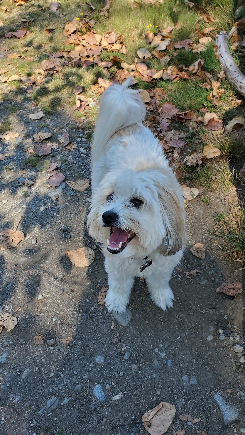 Clearbrook Park Off Leash Area dog park in Abbotsford, British Columbia