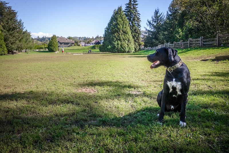 Dog Off Leash Park - Stoney Creek dog park in Abbotsford, British Columbia