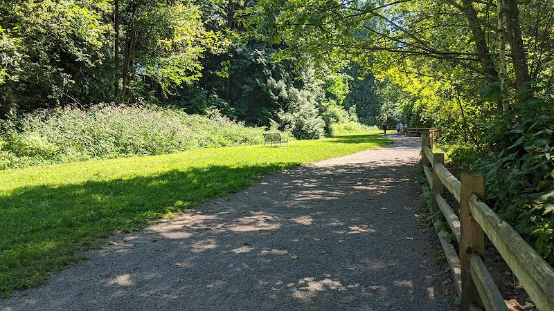 Dog Off Leash Park - Stoney Creek dog park in Abbotsford, British Columbia