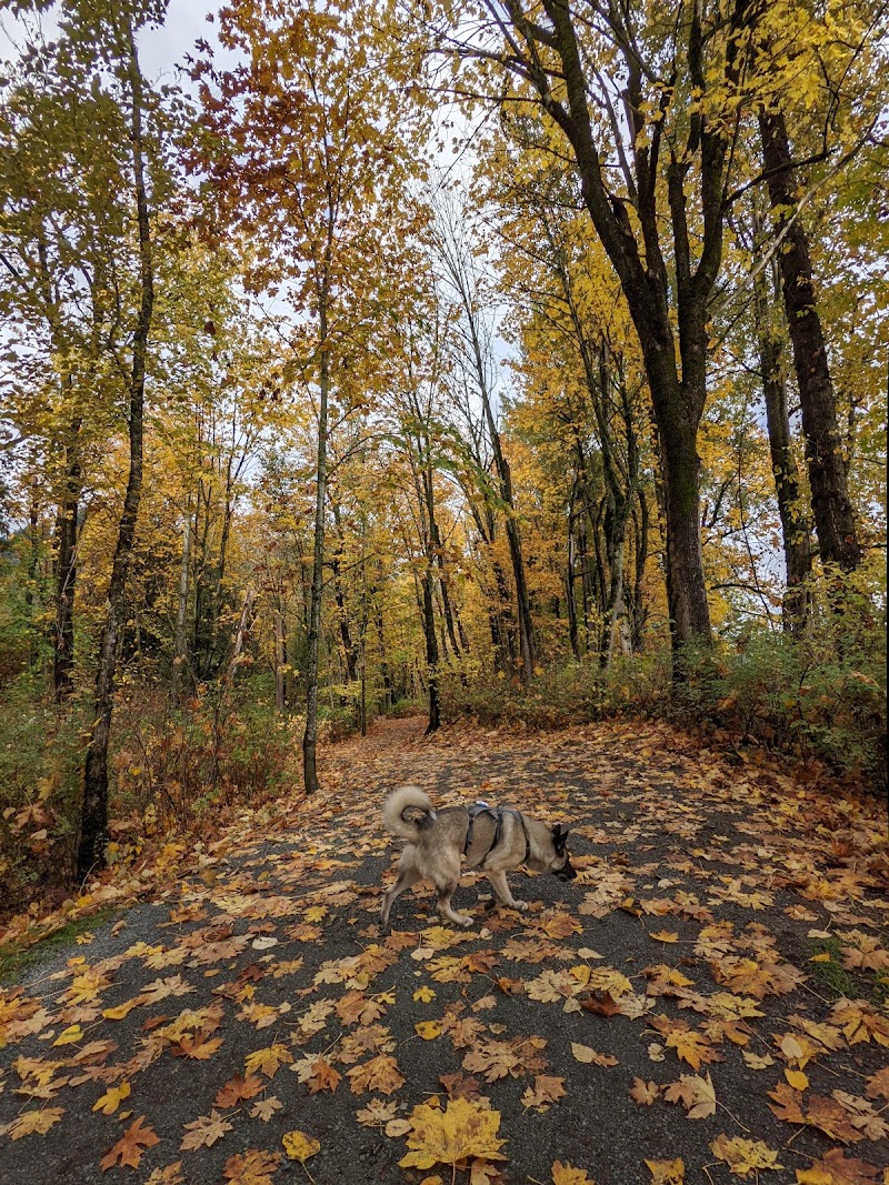 McKay Creek Park / Sumas Dyke Dog Off Leash Area dog park in Abbotsford, British Columbia
