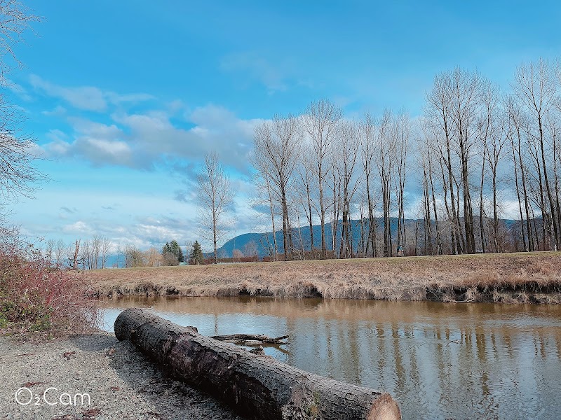 McKay Creek Park / Sumas Dyke Dog Off Leash Area dog park in Abbotsford, British Columbia
