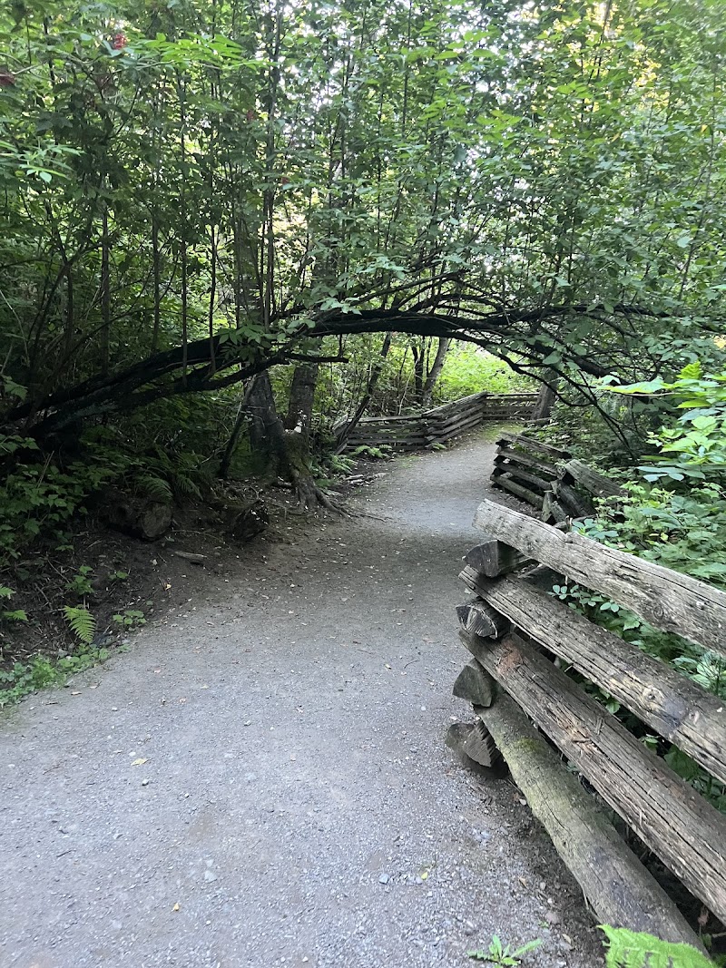 Dog Off-Leash Area dog park in Abbotsford, British Columbia