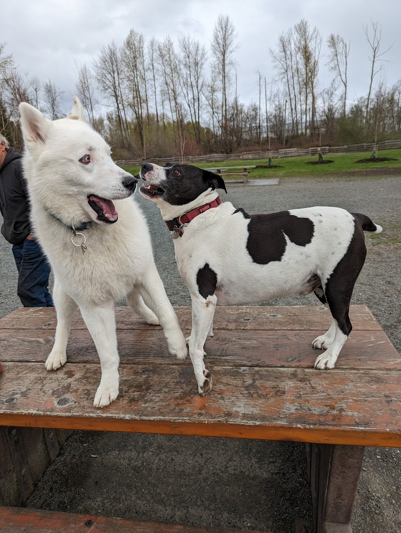 Dog Off-Leash Area dog park in Abbotsford, British Columbia