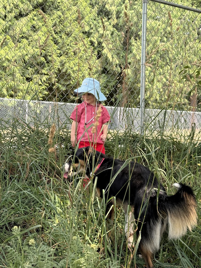 Dog Off-Leash Area dog park in Abbotsford, British Columbia