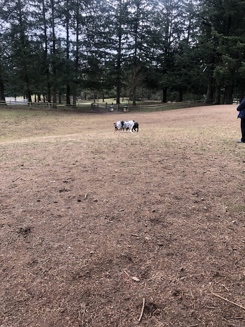 Dog Park dog park in Mission 1, British Columbia