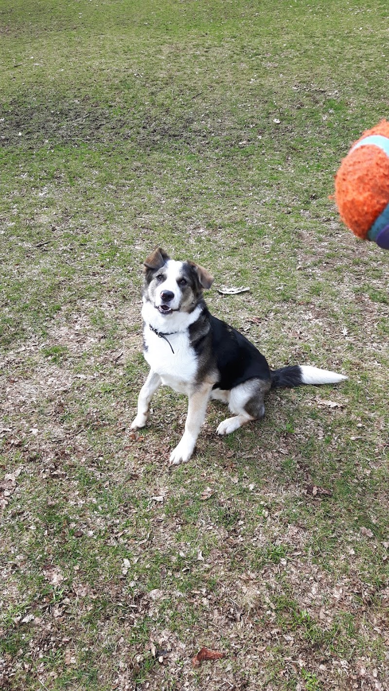 Dog Park dog park in Mission 1, British Columbia