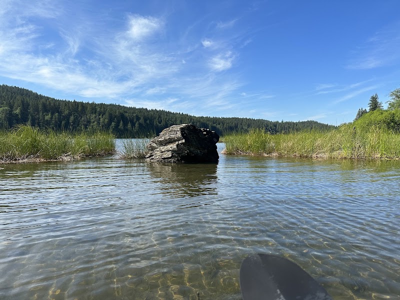 Hayward dog park dog park in Mission, British Columbia