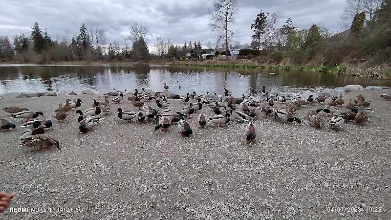 Brydon off-leash Dog Park dog park in Langley, British Columbia