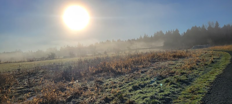 Campbell Valley Regional Park Seasonal Dog Off-Leash Area dog park in Langley Twp, British Columbia
