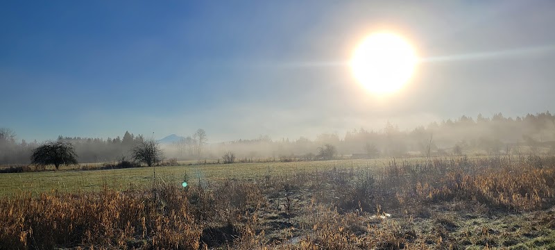 Campbell Valley Regional Park Seasonal Dog Off-Leash Area dog park in Langley Twp, British Columbia