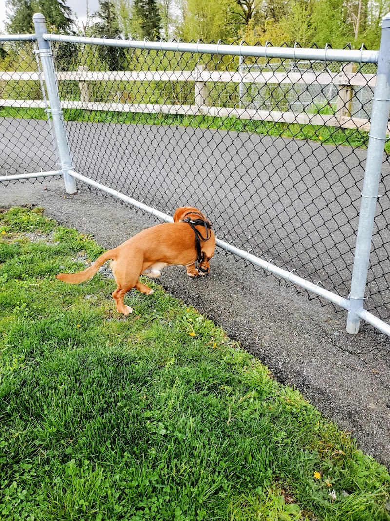 Bertrand Creek Dog Park dog park in Aldergrove, British Columbia