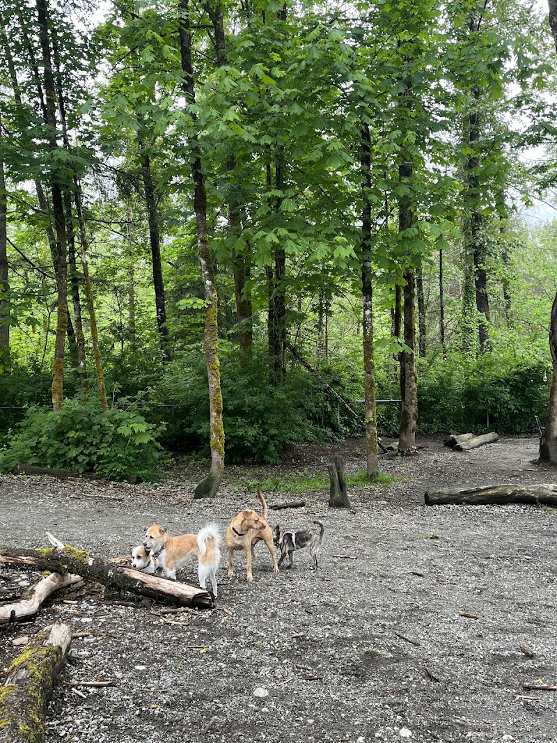 Shaughnessy Park Off-Leash Dog Area dog park in Port Coquitlam, British Columbia