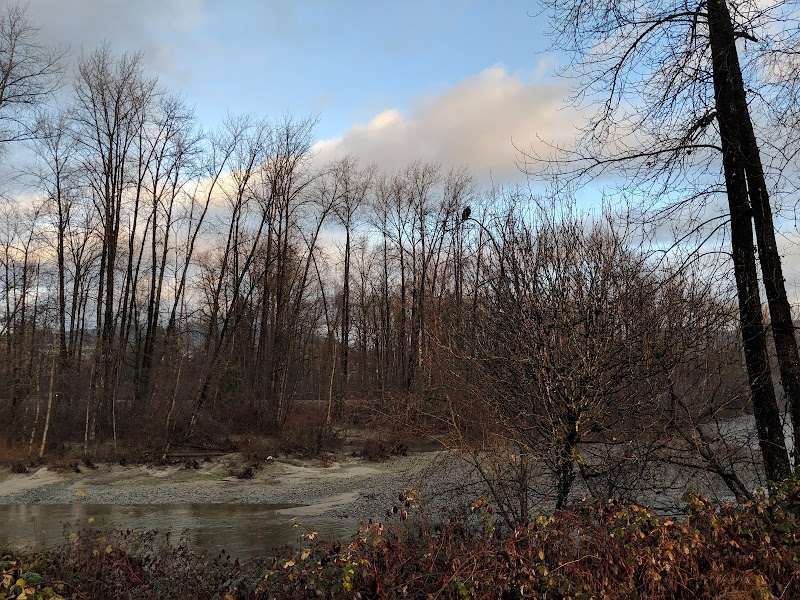 Maple Street Dog Park dog park in Port Coquitlam, British Columbia