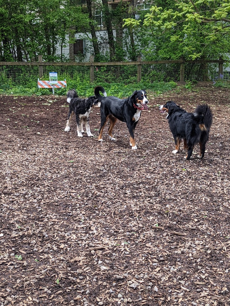Maple Street Dog Park dog park in Port Coquitlam, British Columbia
