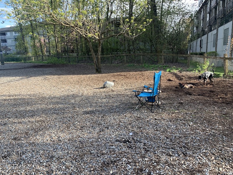 Maple Street Dog Park dog park in Port Coquitlam, British Columbia