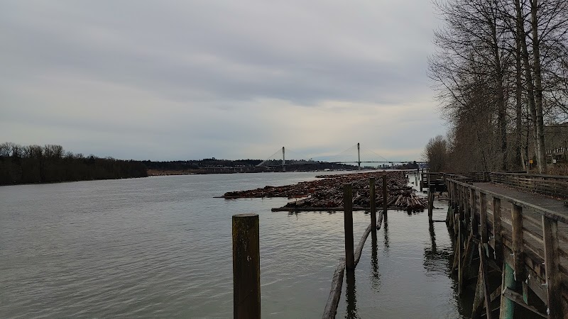 Castle Park Off-leash Dog Area dog park in Port Coquitlam, British Columbia