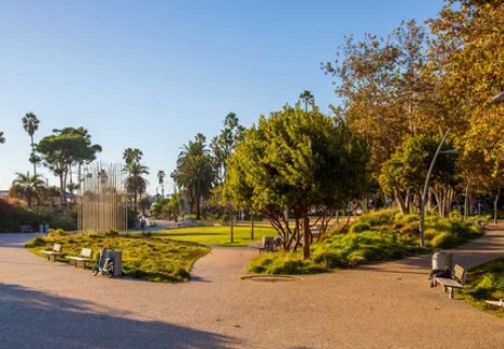 Castle Park Off-leash Dog Area dog park in Port Coquitlam, British Columbia
