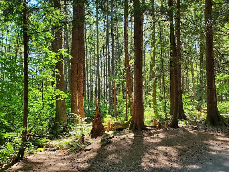 Off Leash Dog Area dog park in Coquitlam, British Columbia