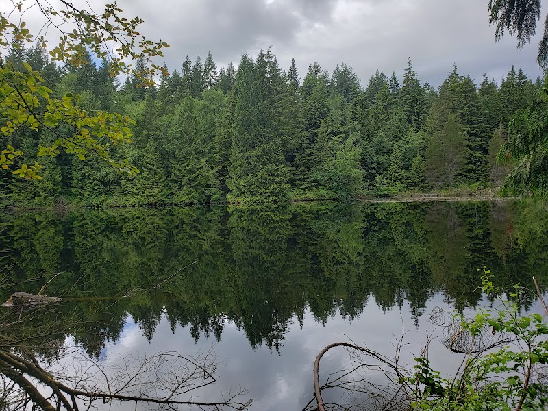 Off Leash Dog Area dog park in Coquitlam, British Columbia