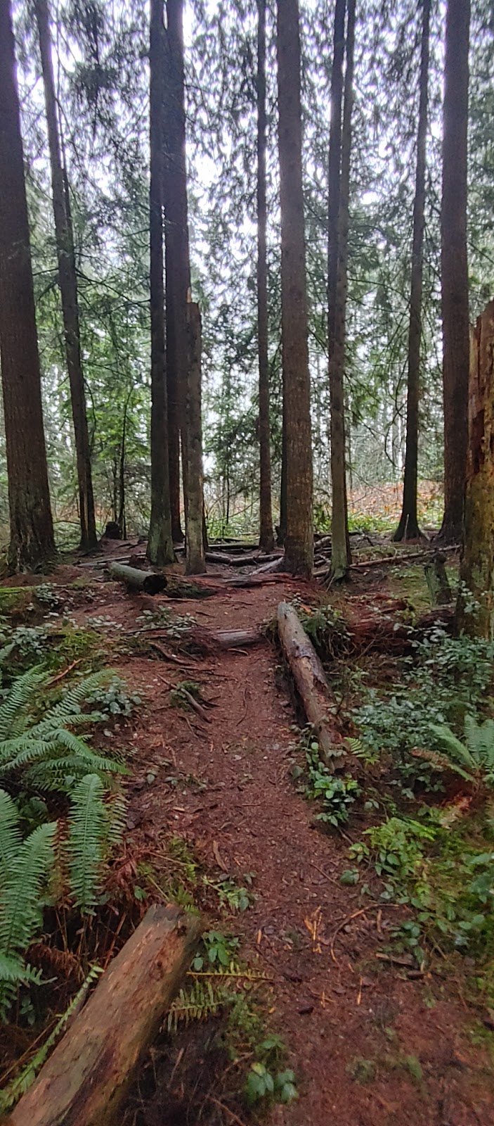 Off Leash Dog Area dog park in Coquitlam, British Columbia