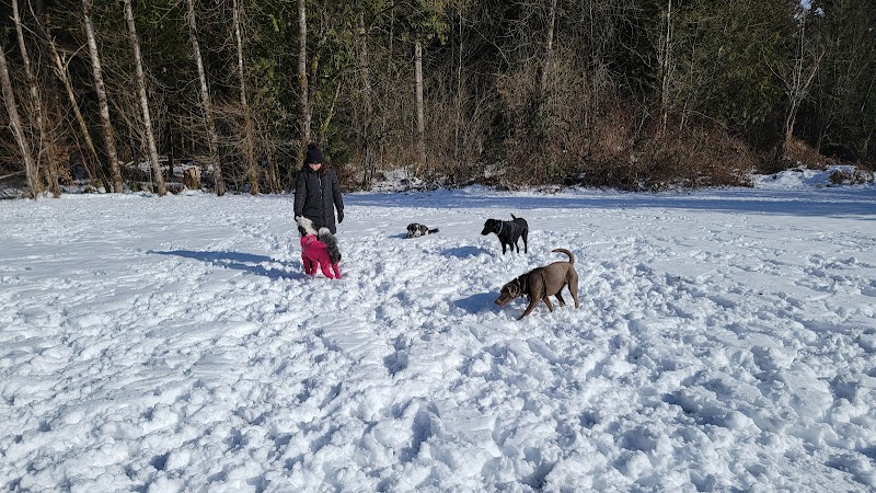 Chelsea Park Off-Leash Dog Area dog park in Port Coquitlam, British Columbia