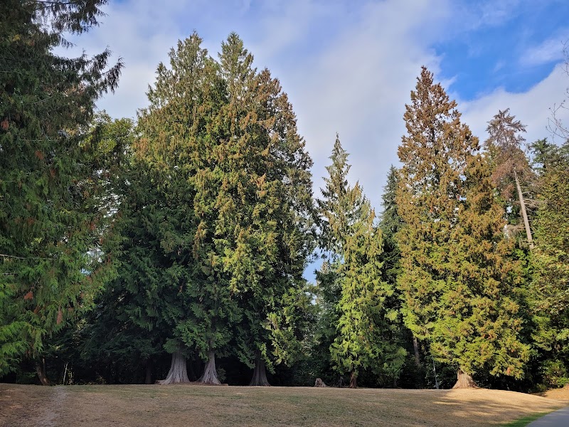 Chelsea Park Off-Leash Dog Area dog park in Port Coquitlam, British Columbia
