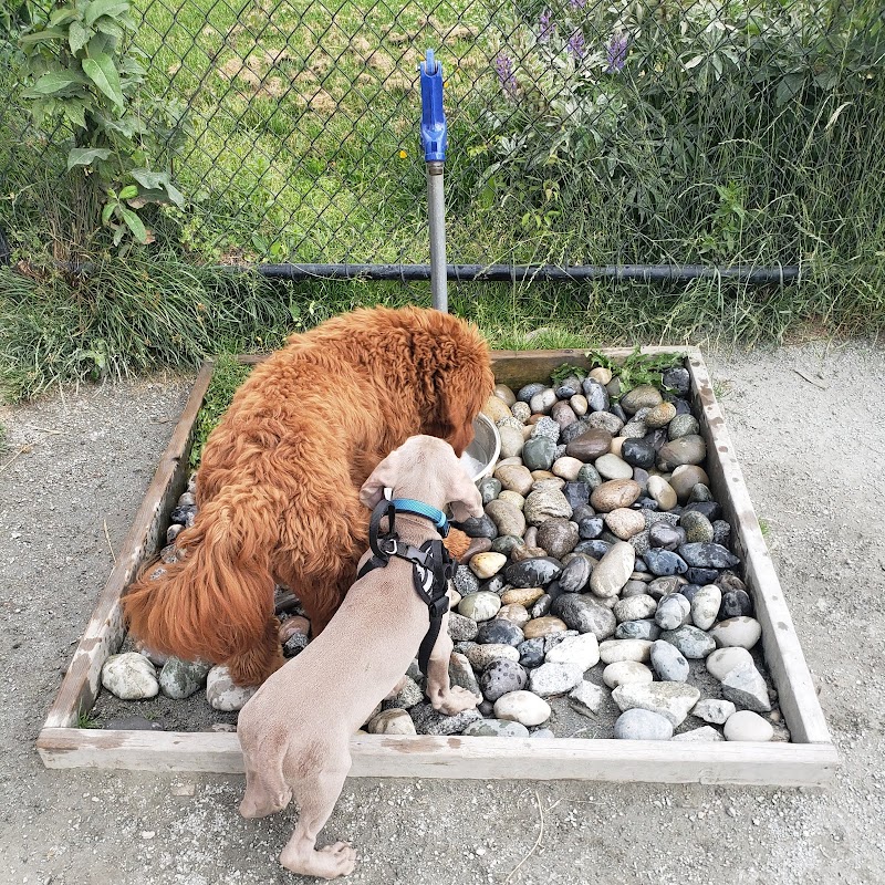 Leigh Park Off-Leash Dog Area dog park in Coquitlam, British Columbia