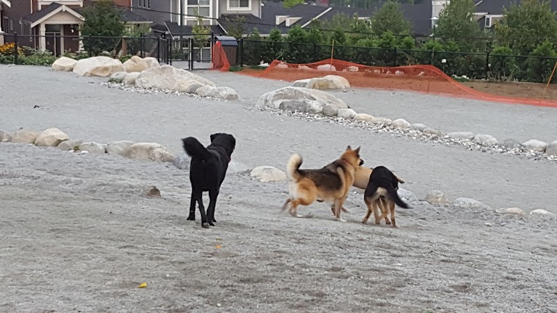 Leigh Park Off-Leash Dog Area dog park in Coquitlam, British Columbia