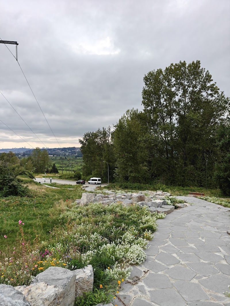 Skyline Park Off-leash Dog Area dog park in Port Coquitlam, British Columbia