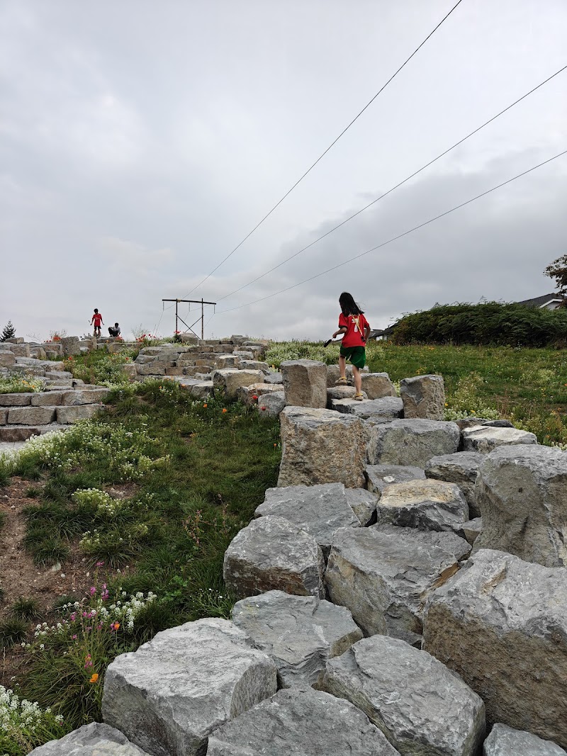 Skyline Park Off-leash Dog Area dog park in Port Coquitlam, British Columbia