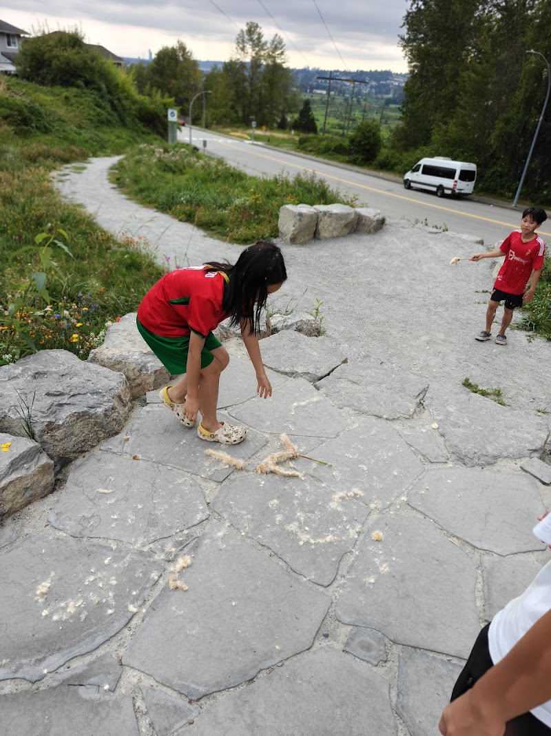 Skyline Park Off-leash Dog Area dog park in Port Coquitlam, British Columbia