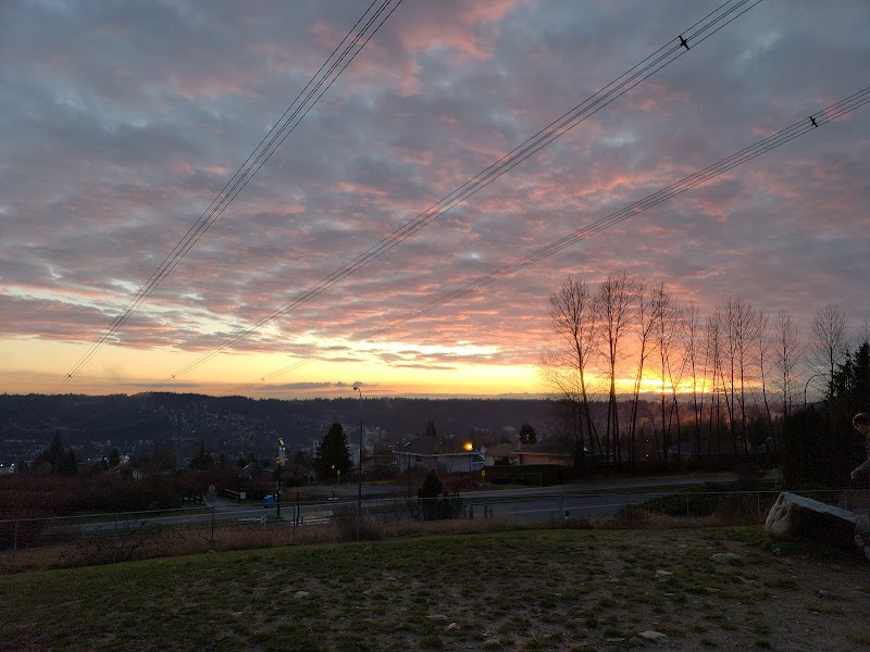 Bramble Park Off-Leash Area dog park in Coquitlam, British Columbia