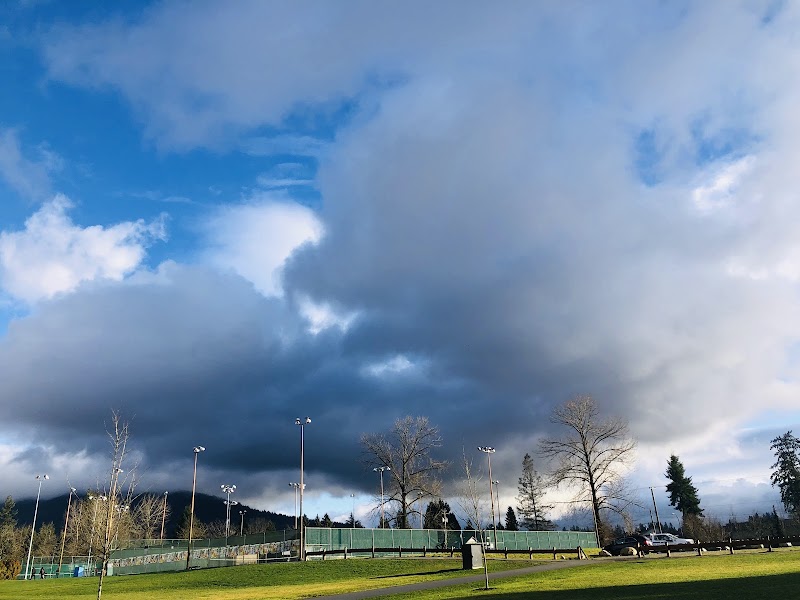 Bramble Park Off-Leash Area dog park in Coquitlam, British Columbia