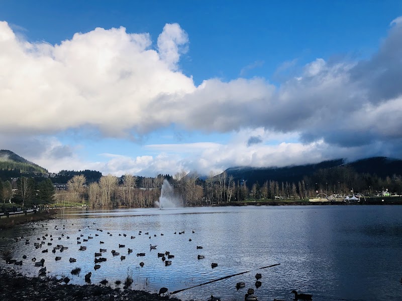 Bramble Park Off-Leash Area dog park in Coquitlam, British Columbia