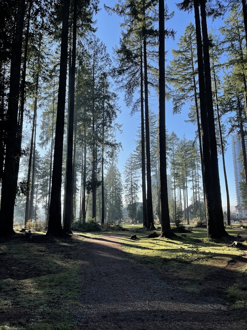 Glen Park Off-Leash Dog Area dog park in Coquitlam, British Columbia