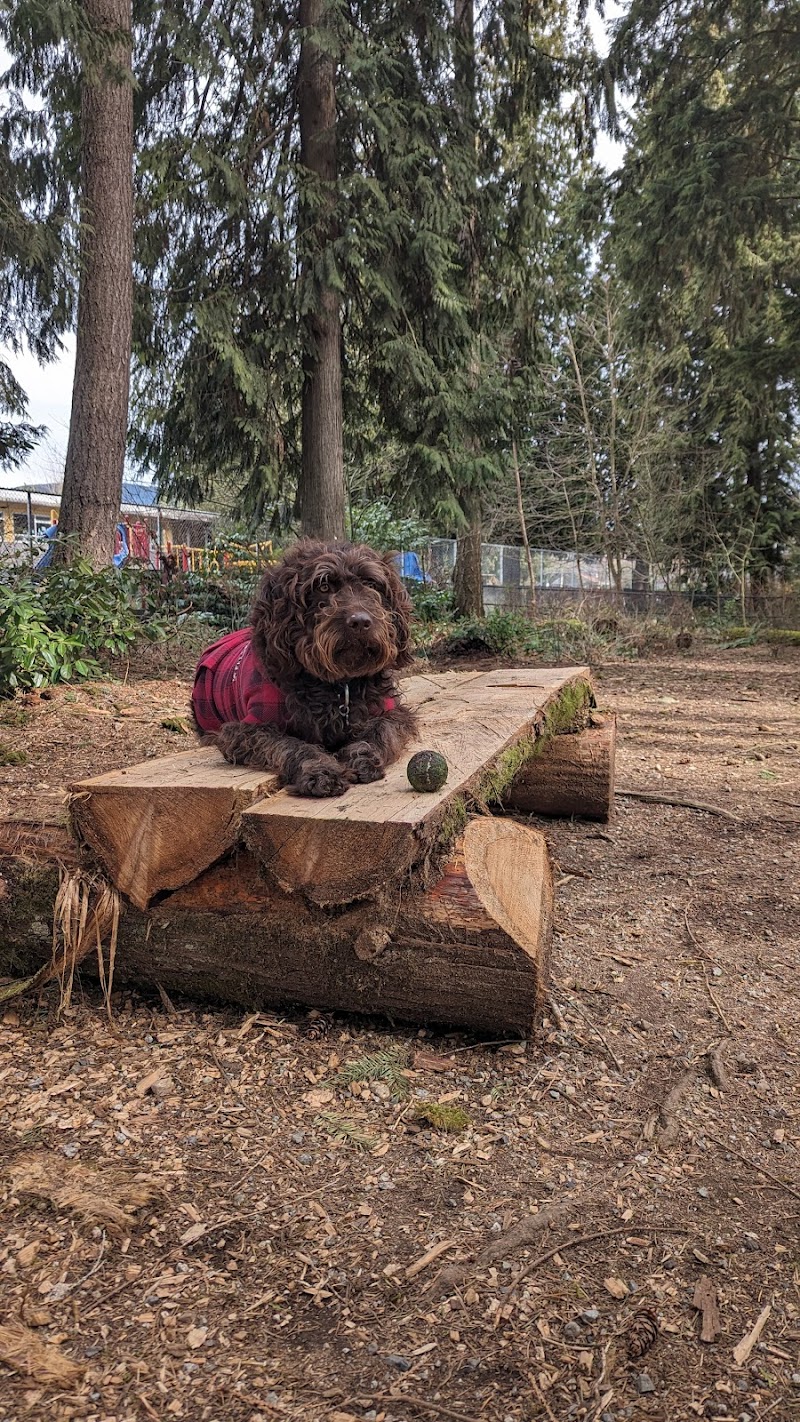 Glen Park Off-Leash Dog Area dog park in Coquitlam, British Columbia