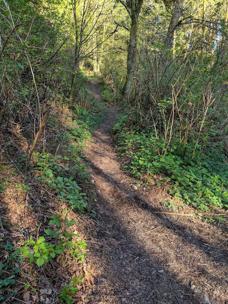 Chines Park Off-Leash Dog Area dog park in Port Moody, British Columbia