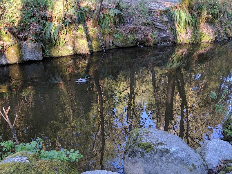 Chines Park Off-Leash Dog Area dog park in Port Moody, British Columbia