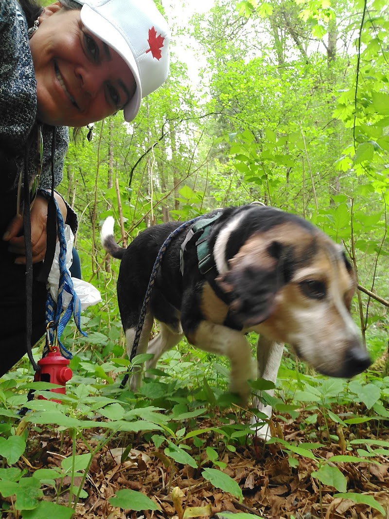 Chines Park Off-Leash Dog Area dog park in Port Moody, British Columbia