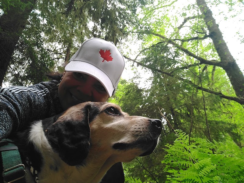 Chines Park Off-Leash Dog Area dog park in Port Moody, British Columbia