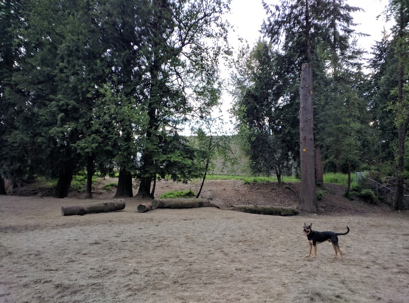 Rocky Point Off Leash Dog Park dog park in Port Moody, British Columbia